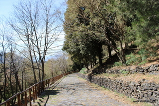 Piano delle Ginestre